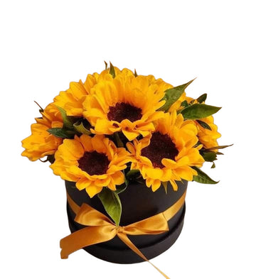 Radiant Sun Box