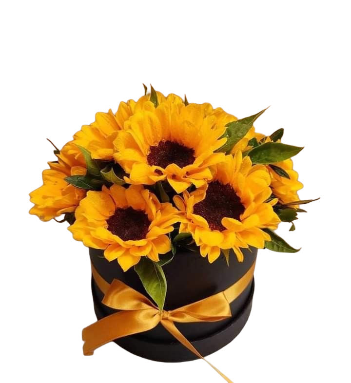 Radiant Sun Box